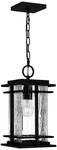 Quoizel Mcalister 15 1/2" High Earth Black Outdoor Mini-pendant Light. Fixed Price $379.99.