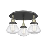 Innovations Lighting 916-3C-8-19 Olean Flush 19"W Black. Fixed Price $435.60.