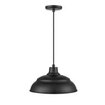 Millennium Lighting Series 8" Pendant, Black LEDRWHC14-SB. Fixed Price $179.90.