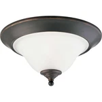 Progress Lighting P3476 Trinity 15" Two-light Flush Mount Ceiling Bronze. Fixed Price $86.21.