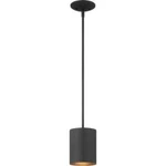 Volume Lighting Black Indoor Outdoor Mini Cylindrical Pendant. Fixed Price $24.85.