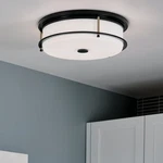 Kichler Lighting Brit 18 In. 4-LIGHT Black And Champagne Bronze Flush Mount With. Fixed Price $379.99.