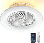 Primemall Ceiling Fans With Lights And Remote Control 22 Inch Ambient. Fixed Price $29.00.
