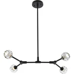 Elegant Lighting 3508D30BK Zayne 4 29 Inch Black Pendant Ceiling. Fixed Price $276.00.