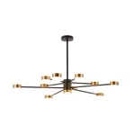 Bethel Black Metal Frame Led Ceiling Fixture With White & Gold Lights. Fixed Price $382.93.