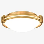Teenyo Modern Gold Flush Mount Ceiling Light 12 Inches Milk Glass Lig.... Fixed Price $165.06.