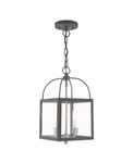 Livex Milford 2 Light Lantern/ceiling, Gray 4041-76. Fixed Price $109.00.