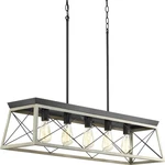 Progress Lighting P400048 Graphite Briarwood 5-LIGHT 38"W Linear Chandelier. Fixed Price $231.33.