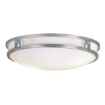 Livex Lighting 4488-91 Titania Flush Mount Brushed Nickel. Fixed Price $249.96.