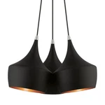 Livex Lighting 41083 Waldorf 21"W Multi Pendant - Black. Fixed Price $369.96.