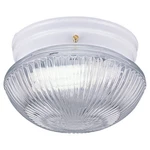 5940-15 Seagull Lighting 2-LIGHT Ceiling Flush Mount Webster Collection White. Fixed Price $32.00.