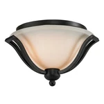 Z-lite Lagoon Light Ceiling, Matte Black, Opal 703F2-MB. Fixed Price $79.99.