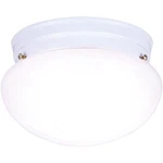 Lighting 66699 Westinghouse, One White. Fixed Price $34.06.