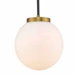 Z-lite 477P10-MB-OBR Pendants Indoor Lighting. Fixed Price $86.00.