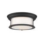Z-lite Sonna Light Large Flush Mount, Black 2011F13-MB. Fixed Price $164.00.