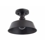 Used Brio Lighting BO101BRZ Bola Semi-flush Mount Farmhouse. Fixed Price $38.96.