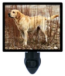 Dog Decorative Photo Night Light, Yellow Lab, Labrador Retiever. Fixed Price $26.99.
