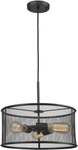 Thomas Lighting CN250341 Chandelier, Oil-rubbed Bronze. Fixed Price $175.00.