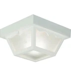 Progress Lighting 1-LIGHT Indoor And Outdoor Flush Mount Ceiling Light, Interior. Fixed Price $24.99.