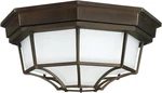Urban/industrial Frosted Glass Outdoor Flush Mount Old Bronze, 2-LIGHT. Fixed Price $95.99.