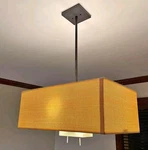 George Kovacs P347-617 Modern 24" Light Pendant With Down Adjustable Reading. Fixed Price $80.84.