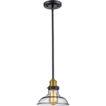 Trans Globe Lighting 70823-ROB Jackson Pendant Rubbed Oil Bronze. Fixed Price $72.20.