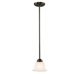 Trans Globe Lighting PL-9282 Rob Indoor Aspen 6.5" Mini Pendant, Rubbed Oil B.... Fixed Price $17.52.