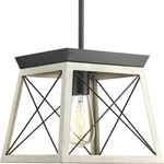 Briarwood Collection 1-LIGHT Coastal Mini-pendant Graphite, Black. Fixed Price $77.99.