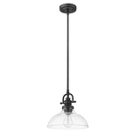 Acclaim Lighting Virginia 9" Pendant, Matte Black - IN21147BK. Fixed Price $140.00.