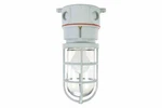 Larson Class 1, Division 2 Chemical Resistant Incandescent Light - 75 Watts. Fixed Price $299.95.