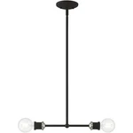 Livex Lighting 47162-04 Lansdale Island Black With Brushed Nickel Accents. Fixed Price $100.77.