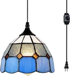 Style Plug-in Pendant Light With Dimmer, Vintage Swag Ceiling Lamp. Fixed Price $69.99.