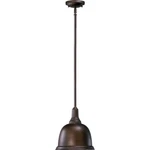 Quorum Light Pendant, Oiled Bronze 802-10-86. Fixed Price $69.99.