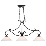 Monrovia 3-LIGHT Linear Chandelier Traditional Style 20.25 Inches Tall. Fixed Price $379.99.
