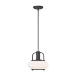 Quoizel Tribeca Bronze Transitional Glass Globe Outdoor Mini Pendant Light. Fixed Price $234.59.