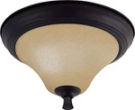 Mountain Lodge Bronze And Toasted Honey Glass Flush Ceiling Light. Fixed Price $47.99.