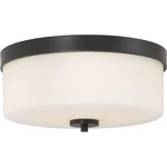 Nuvo Lighting Denver 2 Flush Mount Mahogany Bronze 60-6331. Fixed Price $84.98.