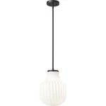 Z-lite 7510P10-MB Newbury Light Inch Matte Black Pendant Ceiling. Fixed Price $226.10.