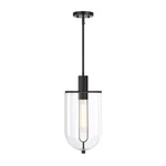 Designers Fountain Skylar 1LT 10" Down Pendant, Black/clear D332M-10P-MB. Fixed Price $125.60.