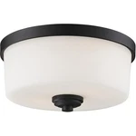Z-lite 220F2 Arlington Light 12.25 Inch Bronze Flush Mount Ceiling. Fixed Price $96.00.
