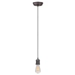 Maxim 25018BZ Hi-bay Light Pendant. Fixed Price $79.95.
