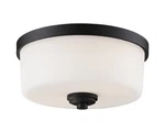 Z-lite 220F2 Arlington Light 12"W Flush Mount Drum Ceiling Bronze. Fixed Price $96.00.
