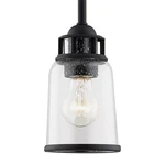 Livex Lighting 40021 Lawrenceville 5"W Mini Pendant - Black. Fixed Price $197.96.