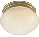 Volume Lighting 2-LIGHT Polished Brass Flush Mount. Fixed Price $17.99.