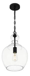 Home Decorators Collection Bakerston 60-WATT 1-LIGHT Matte Black Hanging Pendant. Fixed Price $31.00.