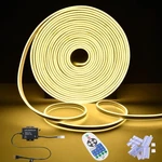 Delight 100FT Neon Rope Lights With Remote Control Ac 110V DEL-D100W Warm White. Fixed Price $156.90.