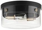Globe Electric 60870 2-LIGHT Flush Mount Ceiling Matte Black Brass. Fixed Price $55.23.