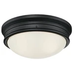 Westinghouse Meadowbrook Switch Incandescent Matte Black Wall Light Fixturewired. Fixed Price $47.68.