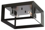 Artcraft Lighting, Vineyard Flush Mount 2 Fixture, AC10063, New Open Box. Fixed Price $120.00.