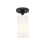 Innovations Lighting 434-1F-10-4 Crown Point Flush Black. Fixed Price $180.40.